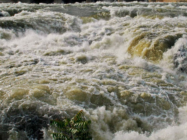 உச்சநீதிமன்ற தீர்ப்பு