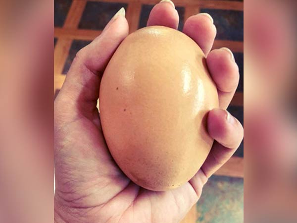 பேஸ்புக்கில் போட்டோ...