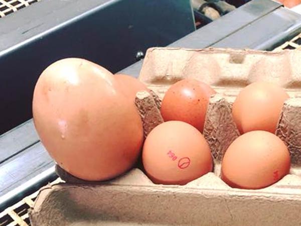 எப்படி சாத்தியம்...