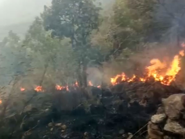 பிரச்சனை 