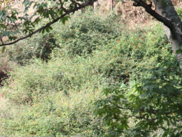 கண்டிப்பு காட்ட வேண்டும் 