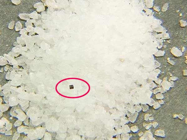 என்ன அளவு 