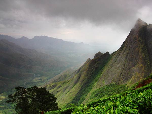 எஸ்டேட் விளம்பரம் 