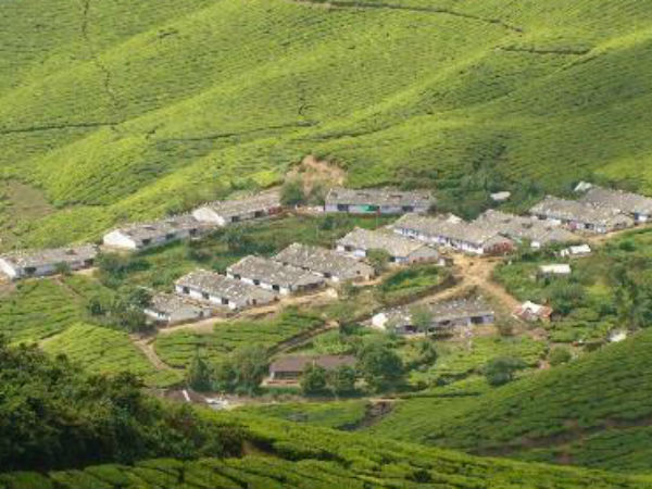  கொடுமையாக உள்ள கொழுக்குமலை எஸ்டேட் நிர்வாகம் 