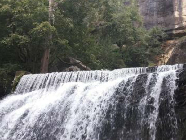 மேற்கு தொடர்ச்சி மலையில் மழை 