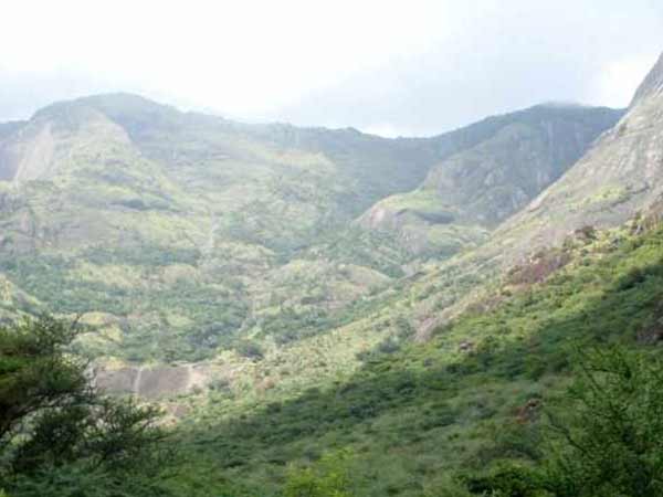 நியூட்ரினோவுக்கு அனுமதி 