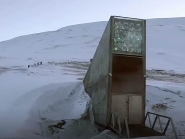 வெள்ளத்தால் பாதிக்கப்பட்ட களஞ்சியம் 