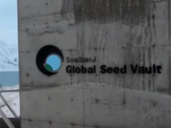 பல்வேறு நாடுகளில் இருந்து 