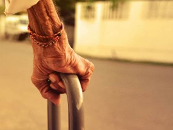 காத்திருந்து பிடித்த பாட்டி