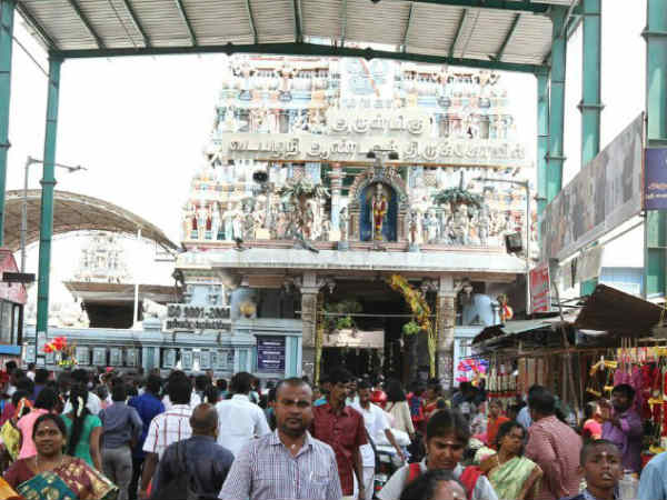 வள்ளி முருகன் திருக்கல்யாணம் 