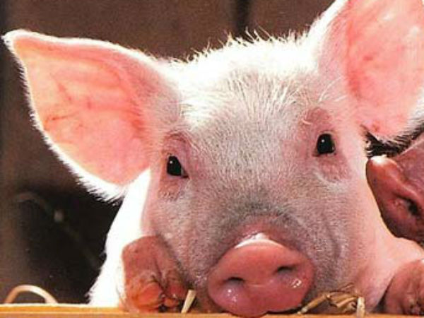  200க்கும் மேற்பட்டோர்...