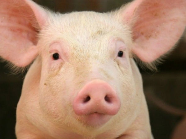 புதிய கண்டுபிடிப்பு...