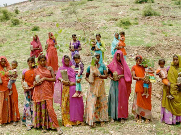 21, 000 மரம் 