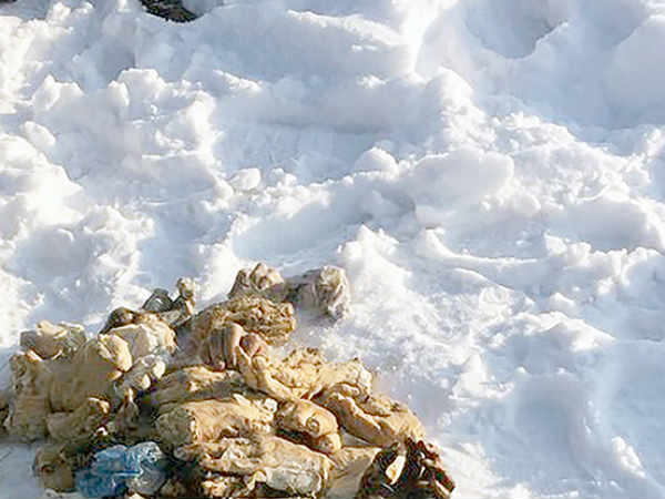 பரிசோதனை 