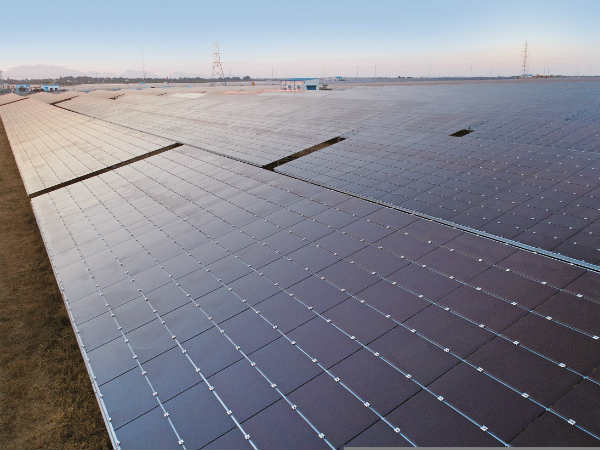 பரந்து விரிந்த பூங்கா 