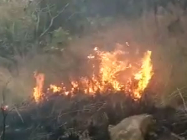 தீ விபத்துகள் அதிகரிப்பு 