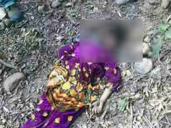 திட்டமிட்டார்கள் 