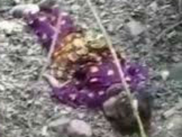 5 நாட்களுக்கு பின் 