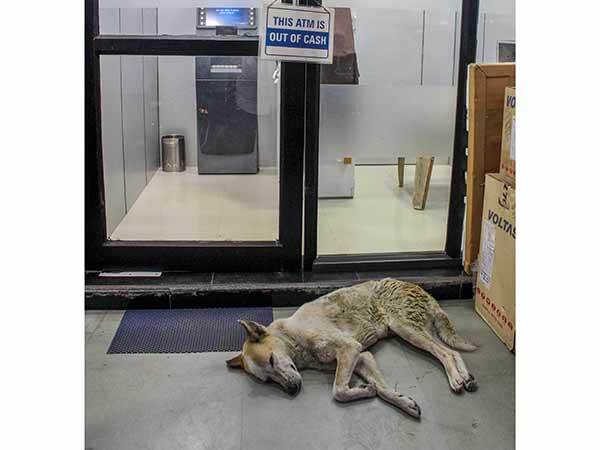 மூடப்பட்ட ஏடிஎம்கள்