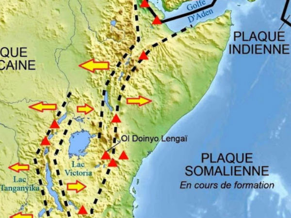 இருதட்டுகளாக பிரித்து 