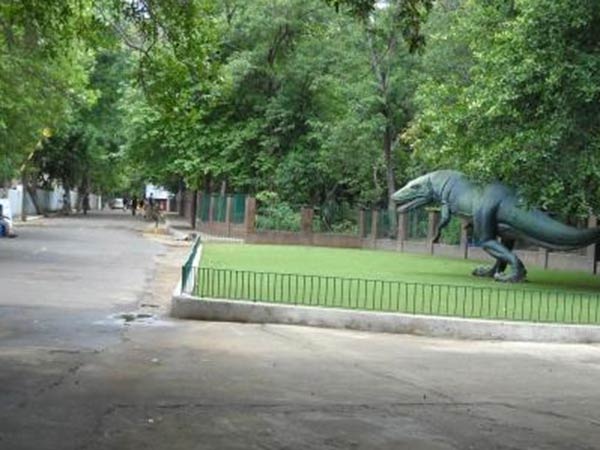வனத்துறையின் மழுப்பல் பதில் 