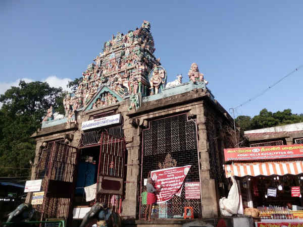  பக்தர்கள் பங்கேற்பு 