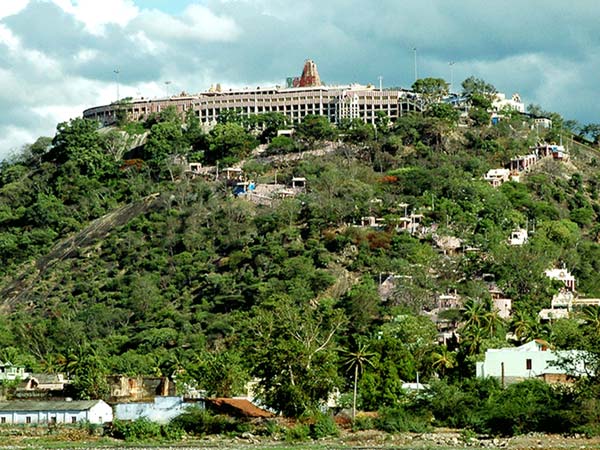 சிலை கடத்தல் தடுப்பு பிரிவு போலீஸ் 