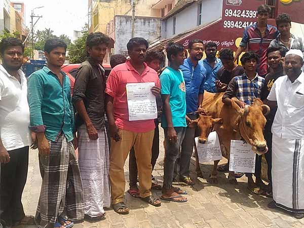 Angry people went with cows to give petition to authorities in Nellai 