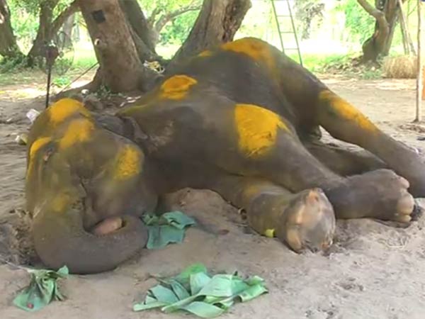 ஹைகோர்ட்டில் மனு 