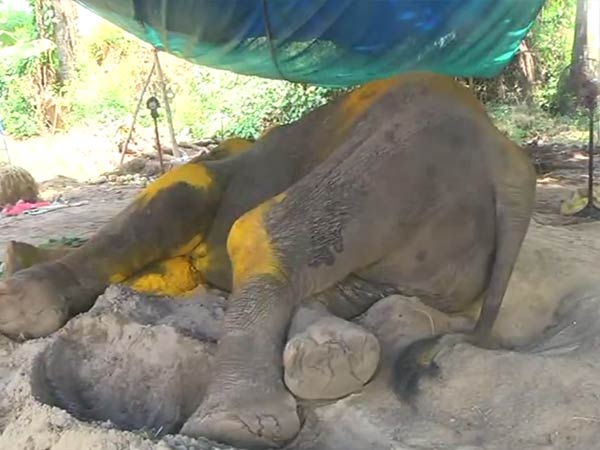 காலில் முறிவு 