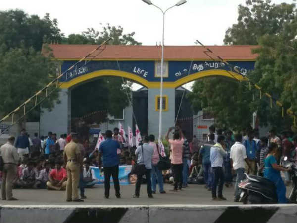 ஆலையை நீக்க வேண்டும் 