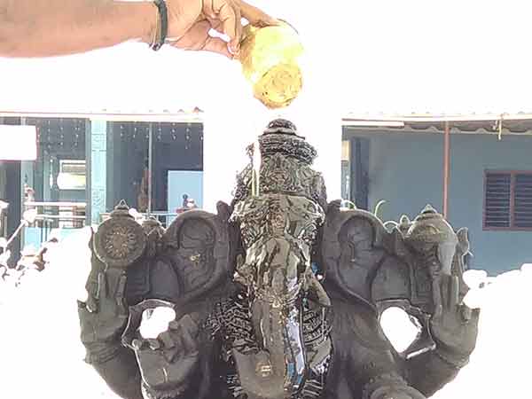 Vilambi Tamil New year special homam in Danvantri bhagavan 