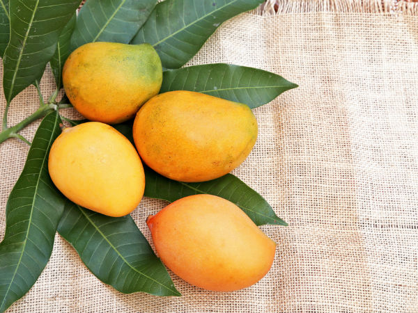 மருத்துவரின் ஆலோசனை மருத்துவரின் ஆலோசனை