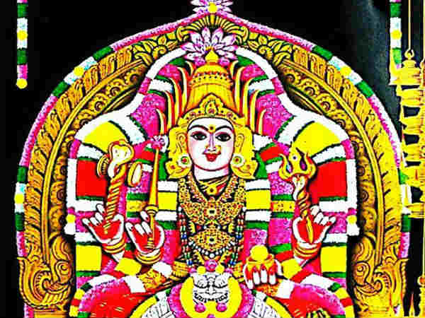 chickenpox viral infected skin disease coming in summer season chickenpox viral infected skin disease coming in summer season