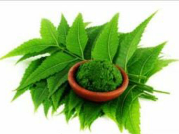 chickenpox viral infected skin disease coming in summer season chickenpox viral infected skin disease coming in summer season