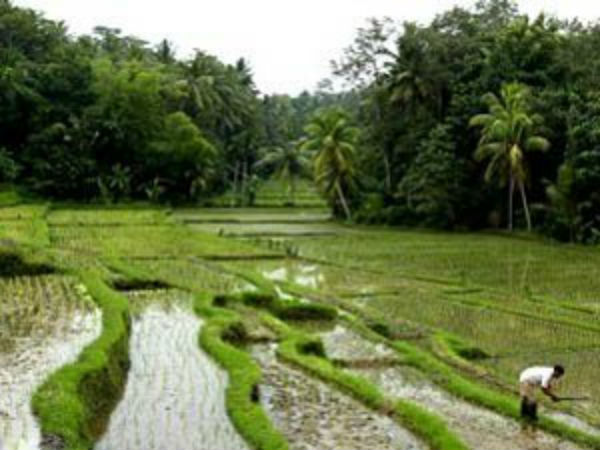 சுப்ரீம்கோர்ட் எச்சரிக்கை 