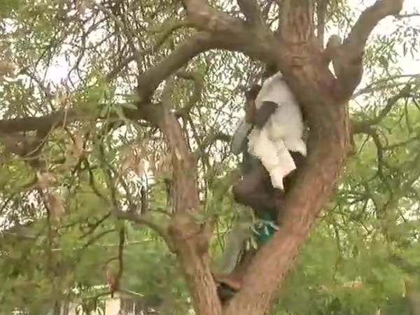 Cauvery Board: Tamilnadu farmers protest aginst Central government in Supreme Court Cauvery Board: Tamilnadu farmers protest aginst Central government in Supreme Court