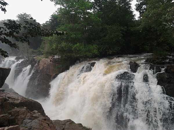 உச்சநீதிமன்றத்தில் தீர்ப்பு 