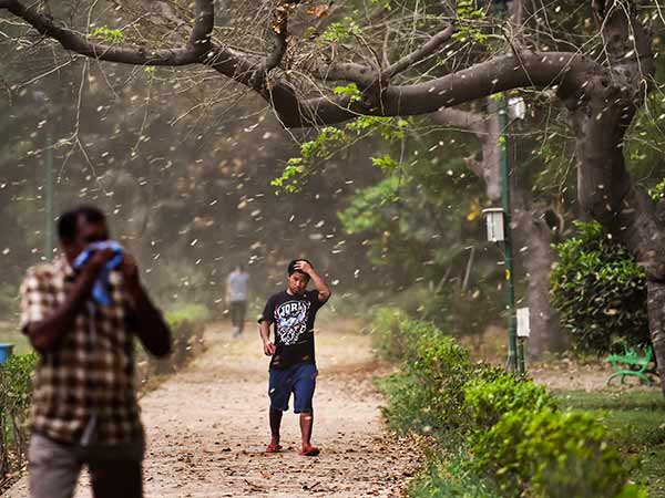 பலத்த மழை 