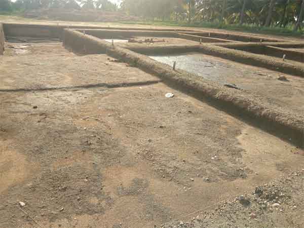 மீண்டும் அகழ்வாராய்ச்சி பணி மீண்டும் அகழ்வாராய்ச்சி பணி