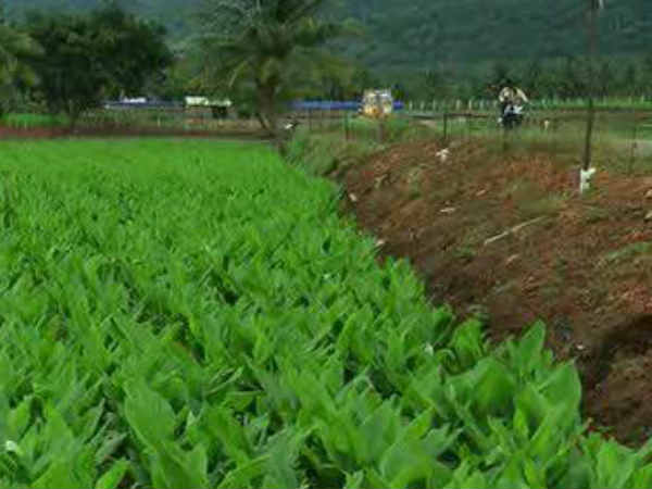 மத்திய பட்ஜெட் -வெறும் அறிவிப்பு