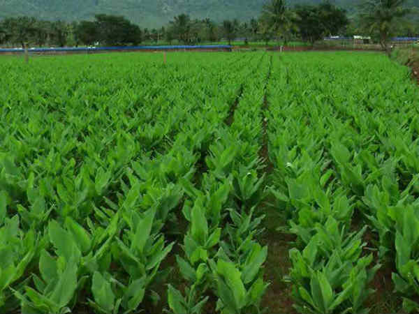 சரியான திட்டமிடல் வேண்டும்