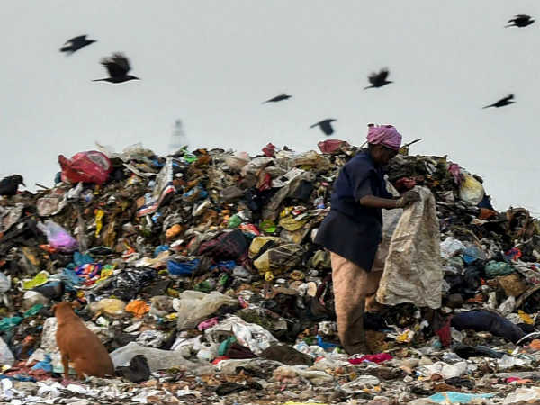  உண்மையான தூய்மை இந்தியா 