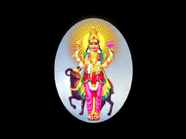 maruthani-is a natural herbal plant used to paint the body which cures several skin diseases maruthani-is a natural herbal plant used to paint the body which cures several skin diseases
