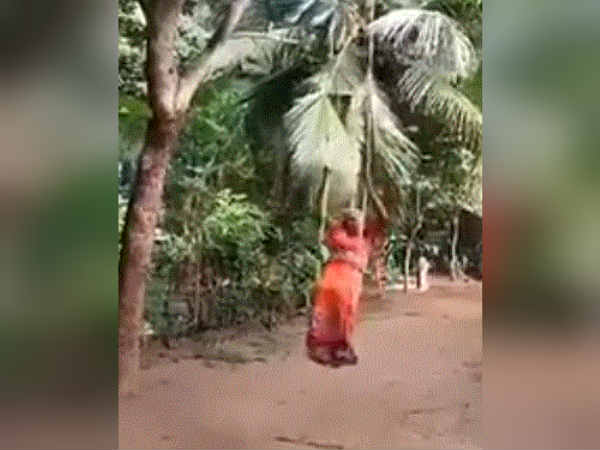 ஊஞ்சலாடும் பாட்டி 