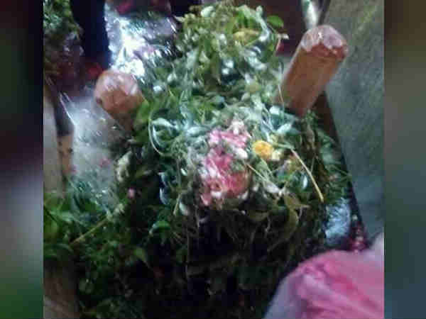 கண்கவர் வான வேடிக்கை