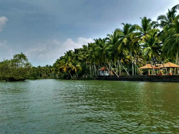 பாவம் காங்கிரஸ் கட்சி 