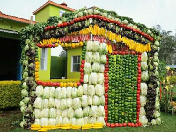 Vegetable Exhibition at Kothagiri