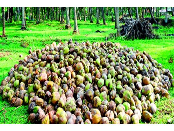 ஜுன் முதல்வாரம் வரத்து தொடங்கும்