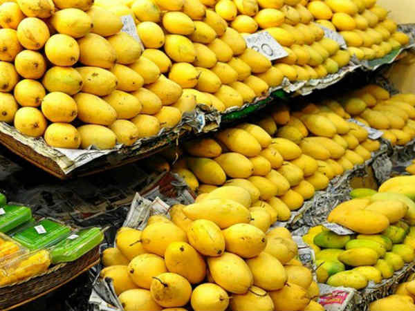 மேங்கிஃபெரா இண்டிகா: